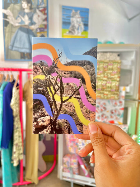 A captivating landscape photo showcasing a vibrant desert scene with cacti. A colorful wavy line pattern is intricately drawn on the photo, adding a touch of artistic flair to the natural landscape.