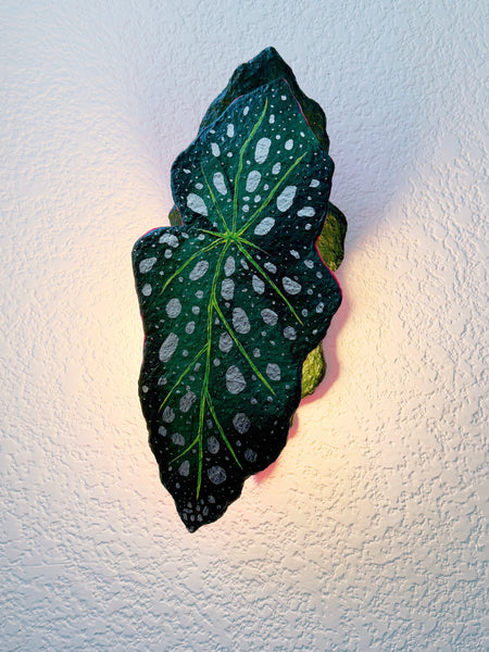 Wireless Begonia Maculata Leaf Wall Sconce