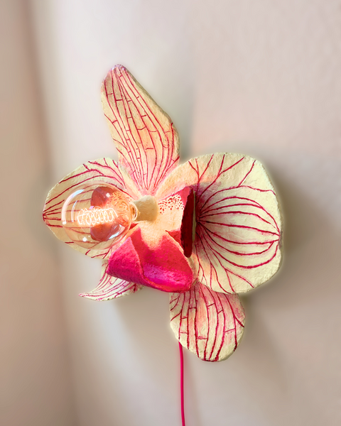 Orchid Sculptural Lamp – Lemon Green with Merlot Stripes